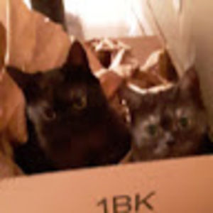 Meet your Posher, Erica